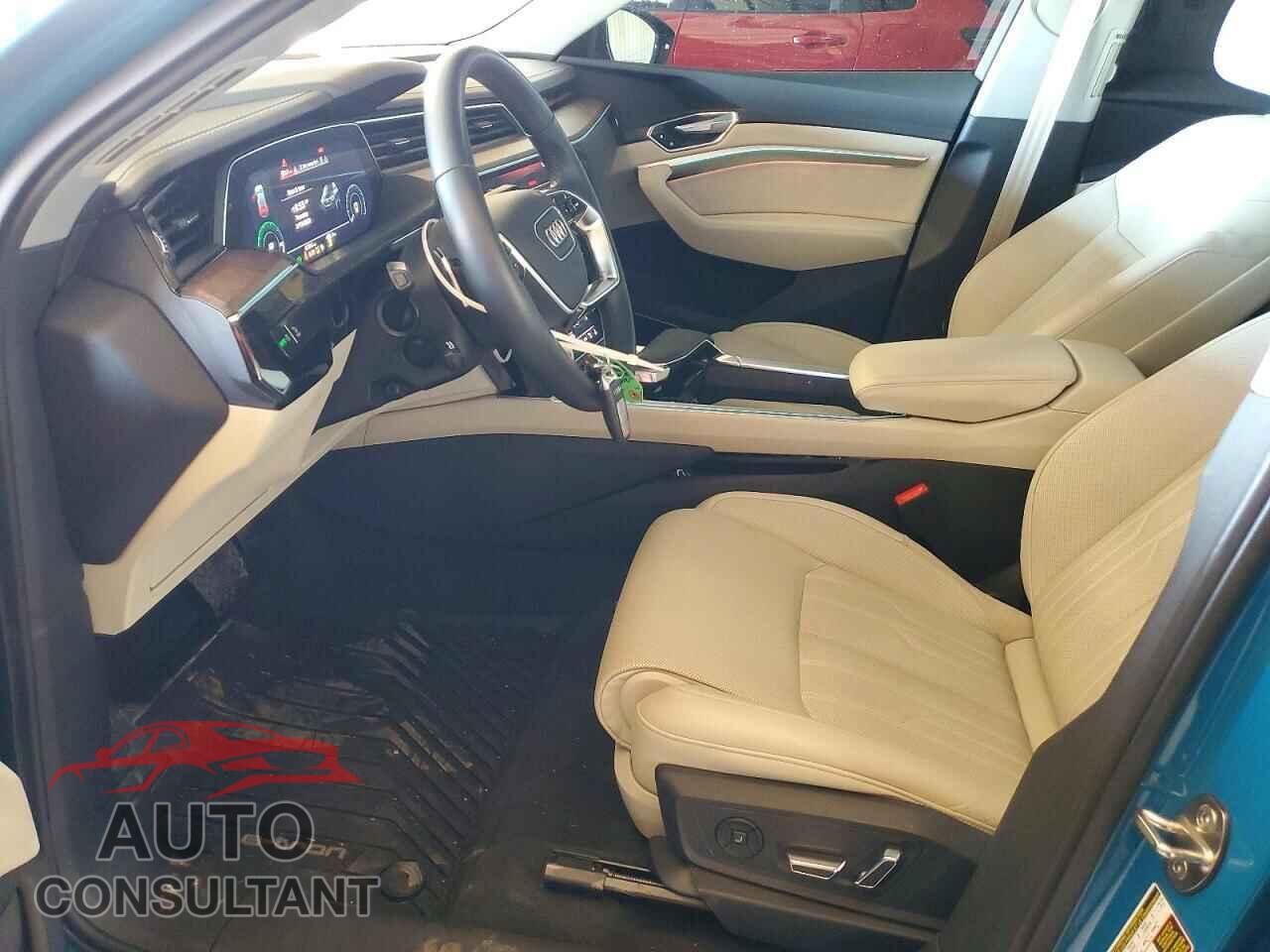 AUDI E-TRON 2019 - WA1VAAGE4KB005245
