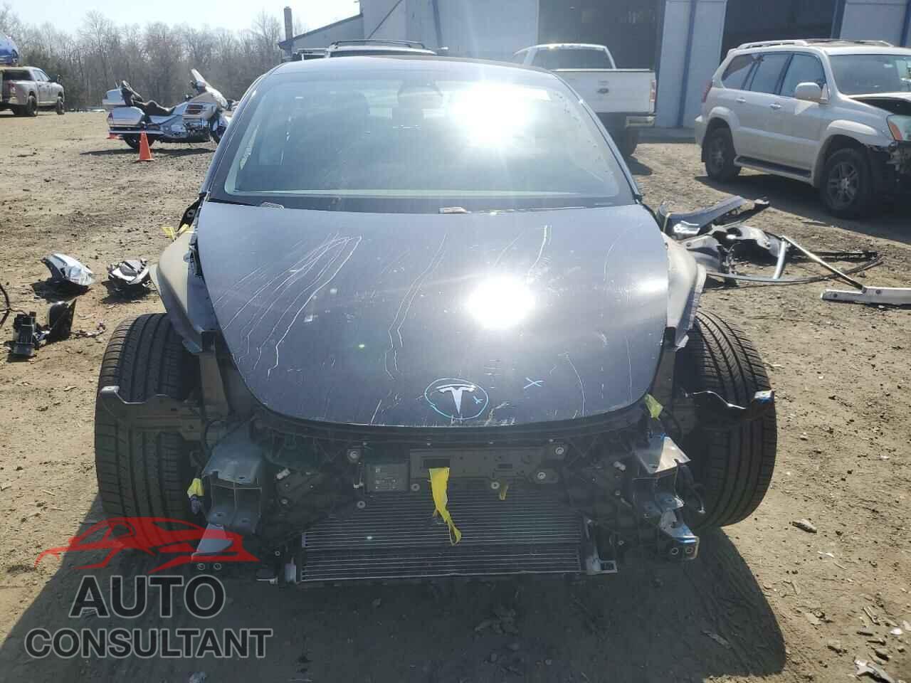 TESLA MODEL 3 2019 - 5YJ3E1EA1KF304741