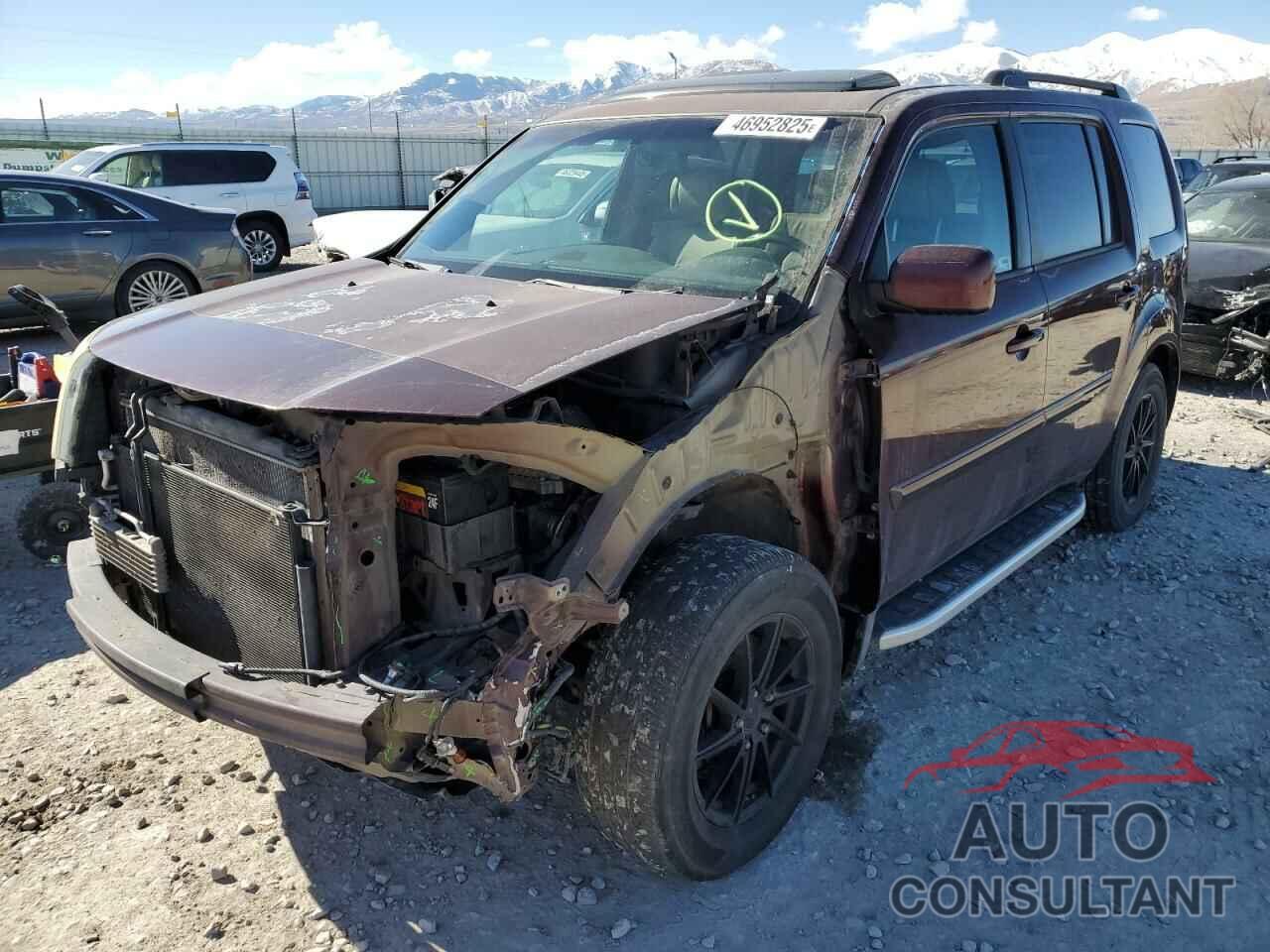 HONDA PILOT 2010 - 5FNYF4H6XAB007848