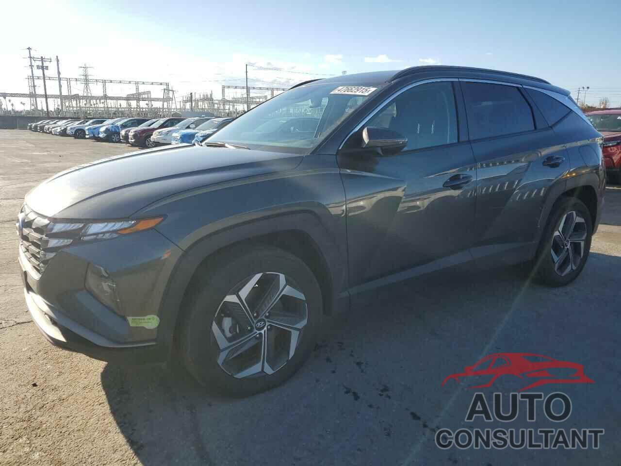 HYUNDAI TUCSON 2023 - KM8JBDA2XPU114267