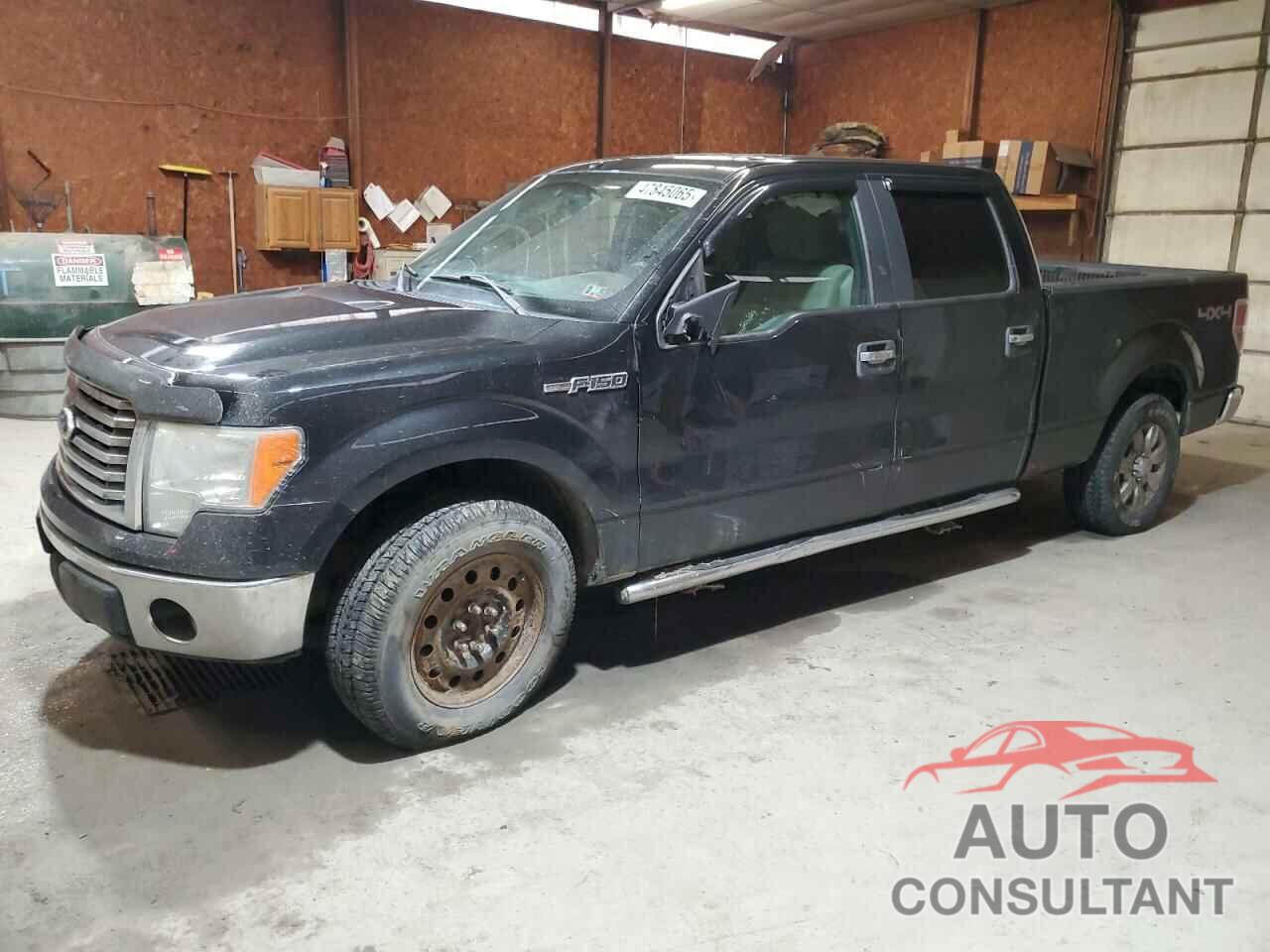 FORD F-150 2010 - 1FTFW1EV7AFA44952
