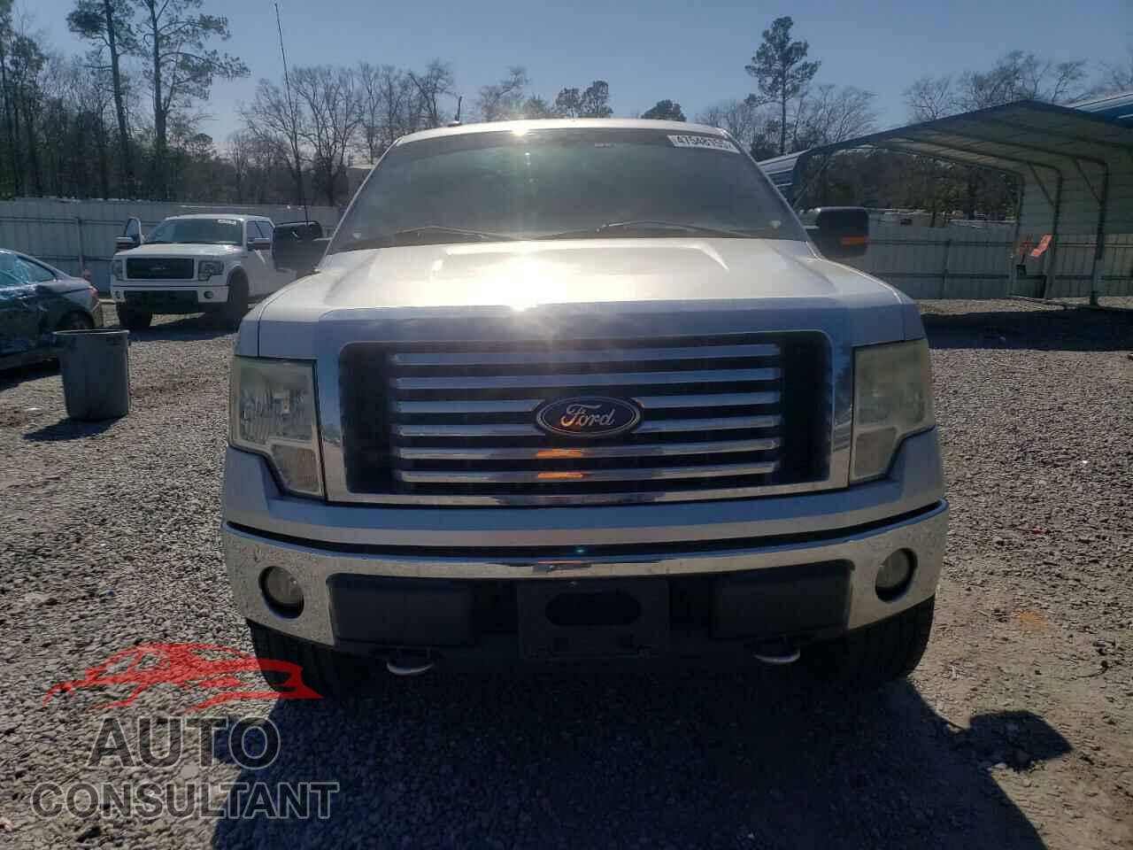 FORD F-150 2010 - 1FTFW1EV3AFD49719