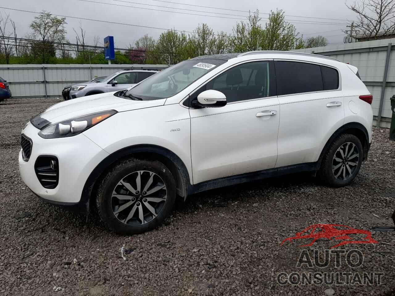 KIA SPORTAGE 2017 - KNDPNCAC6H7183675