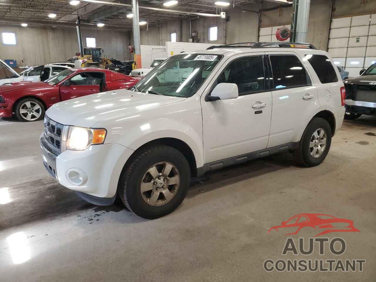 FORD ESCAPE 2010 - 1FMCU0E71AKC88538