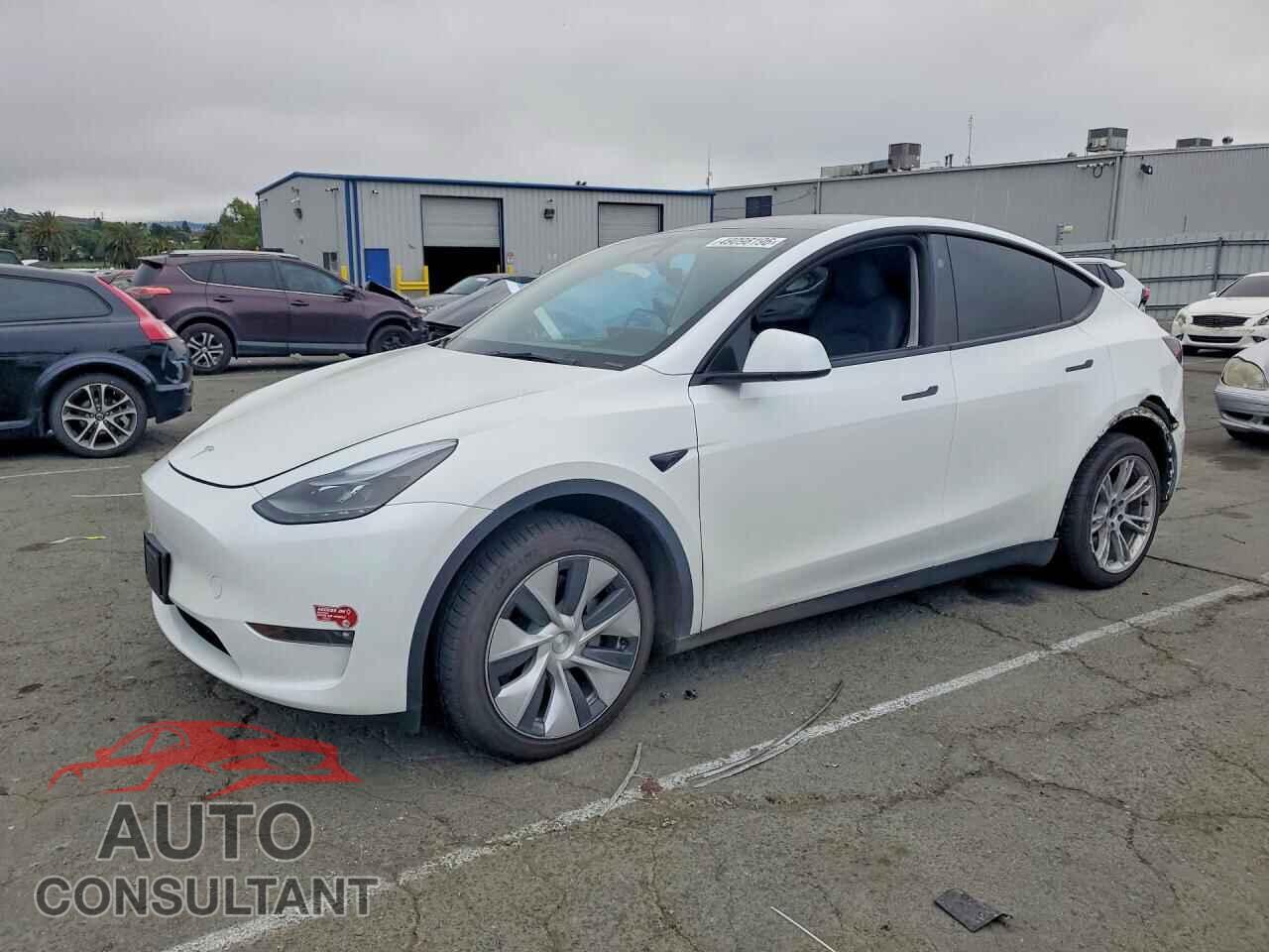 TESLA MODEL Y 2024 - 7SAYGAEE2RF054149