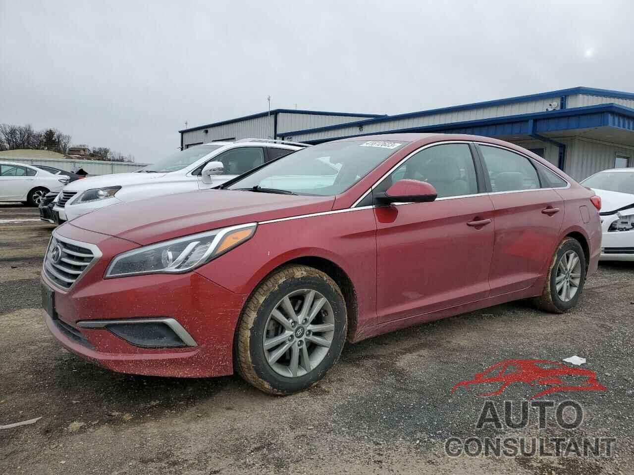 HYUNDAI SONATA 2016 - 5NPE24AF0GH288917