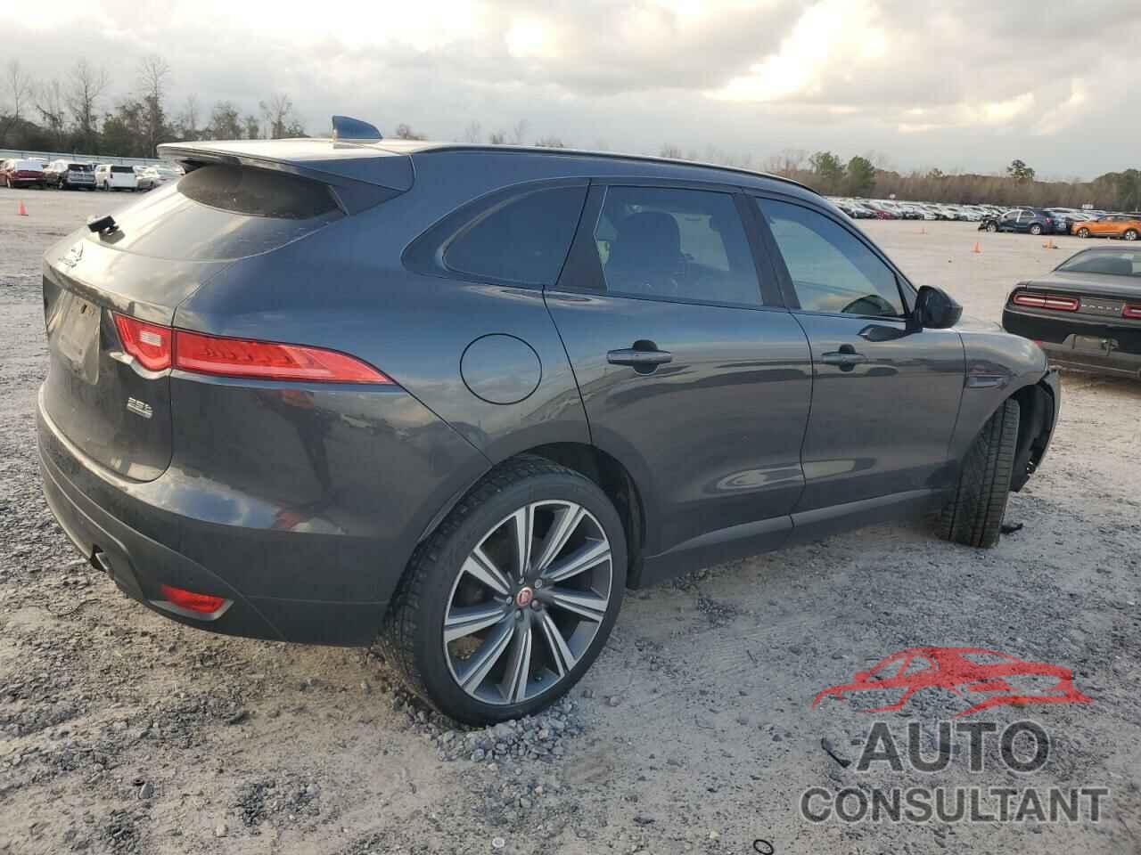 JAGUAR F-PACE 2019 - SADCK2FX1KA351766