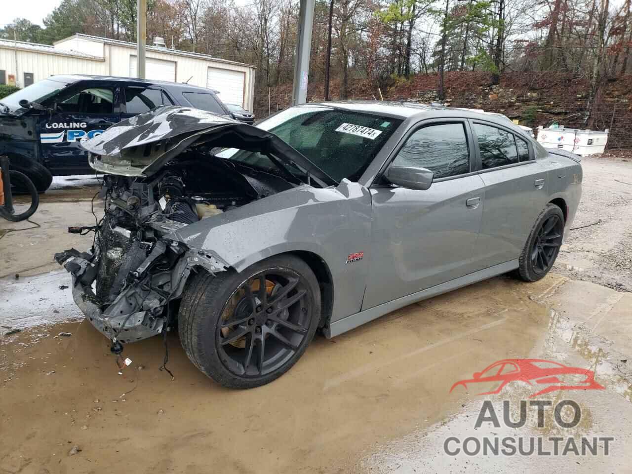 DODGE CHARGER 2019 - 2C3CDXGJ8KH697171