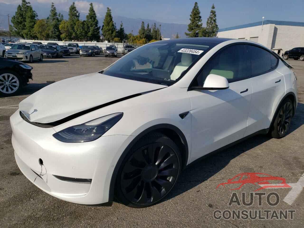 TESLA MODEL Y 2022 - 7SAYGDEF8NF537617