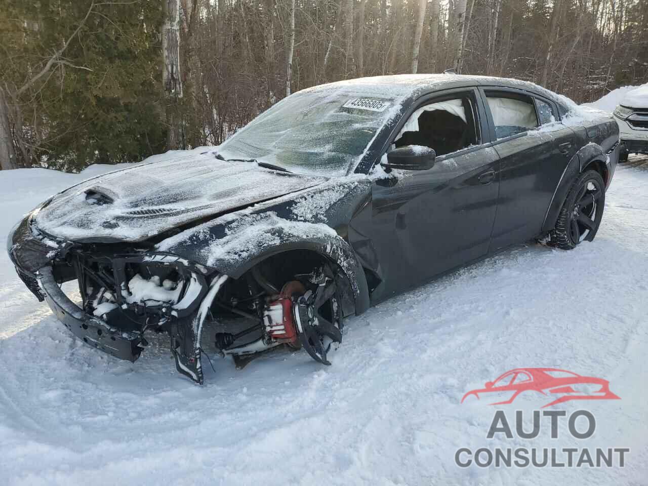 DODGE CHARGER 2019 - 2C3CDXJG9KH611637