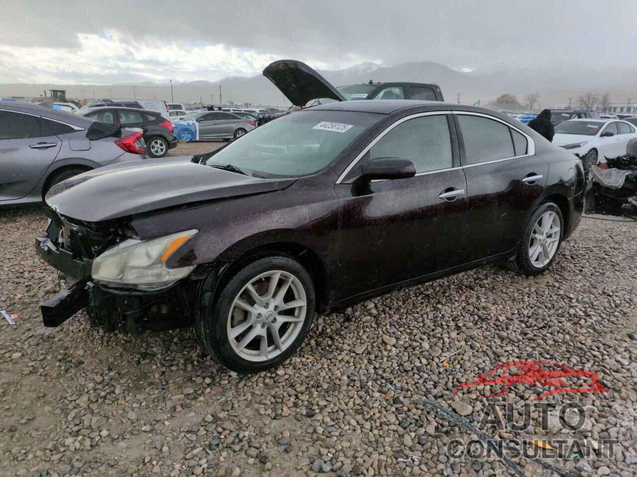 NISSAN MAXIMA 2014 - 1N4AA5AP3EC456144