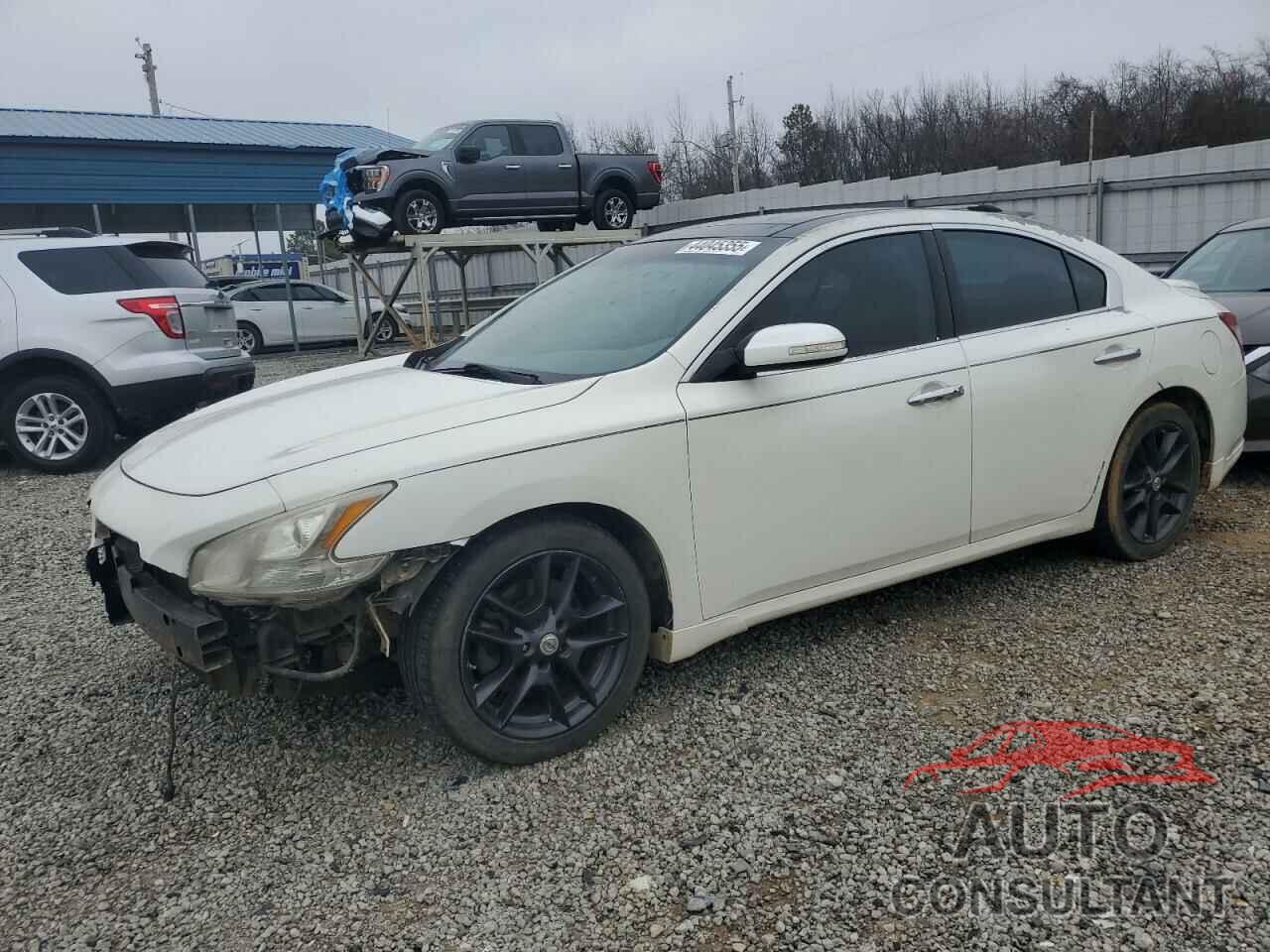 NISSAN MAXIMA 2010 - 1N4AA5AP2AC821164