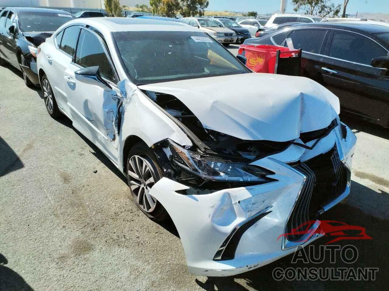 LEXUS ES300 2021 - 58ACA1C11MU011533