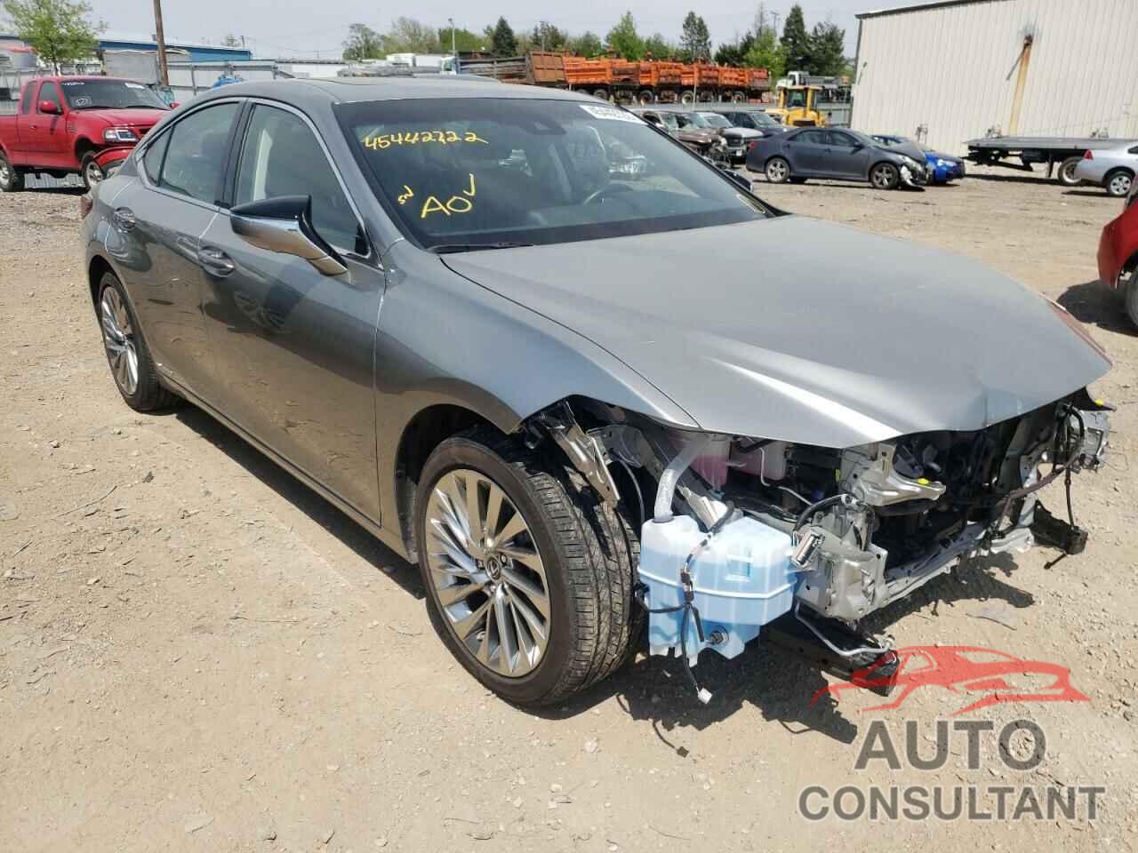 LEXUS ES300 2019 - JTHB21B19K2040551