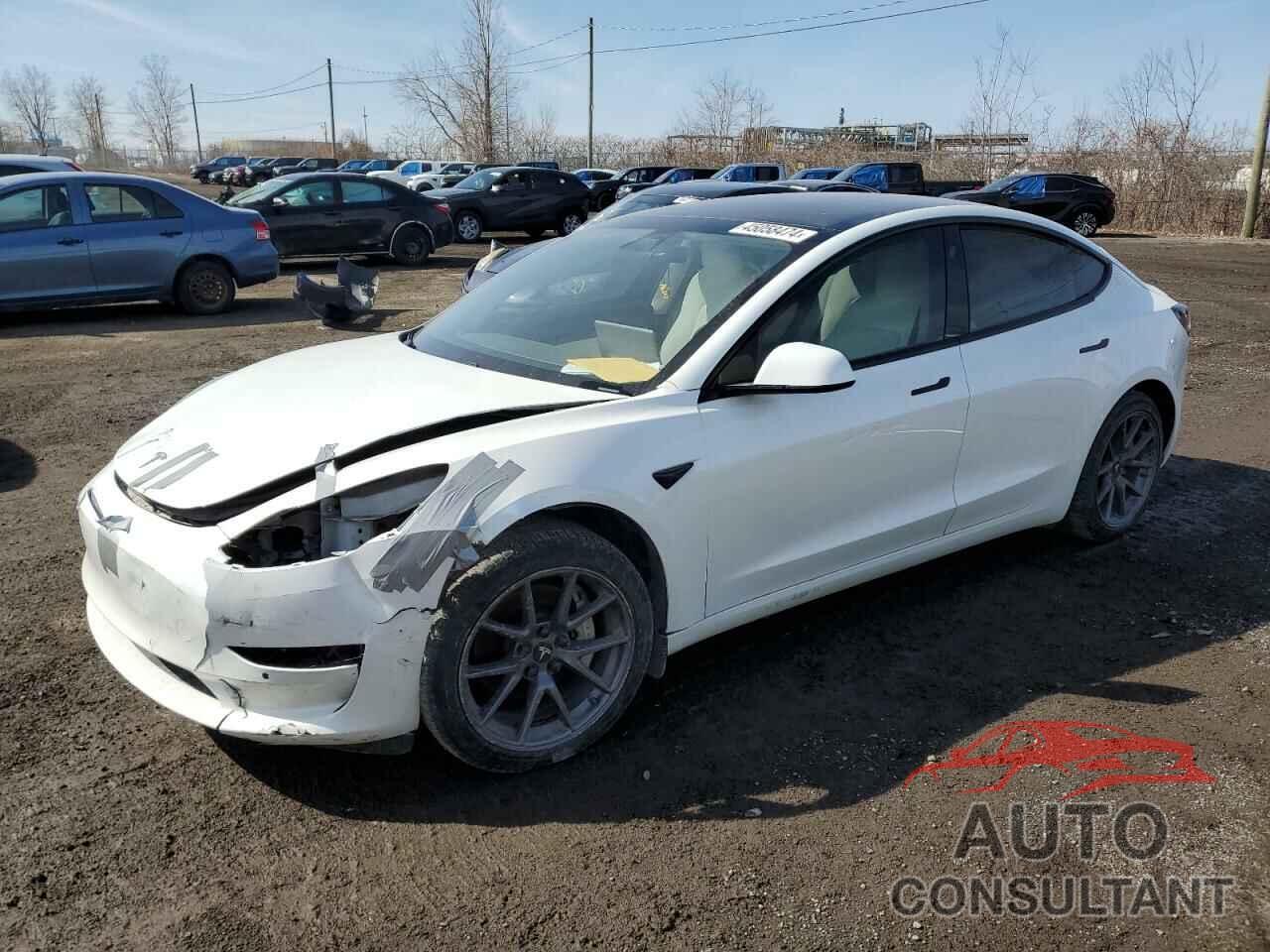 TESLA MODEL 3 2021 - 5YJ3E1EA5MF842684