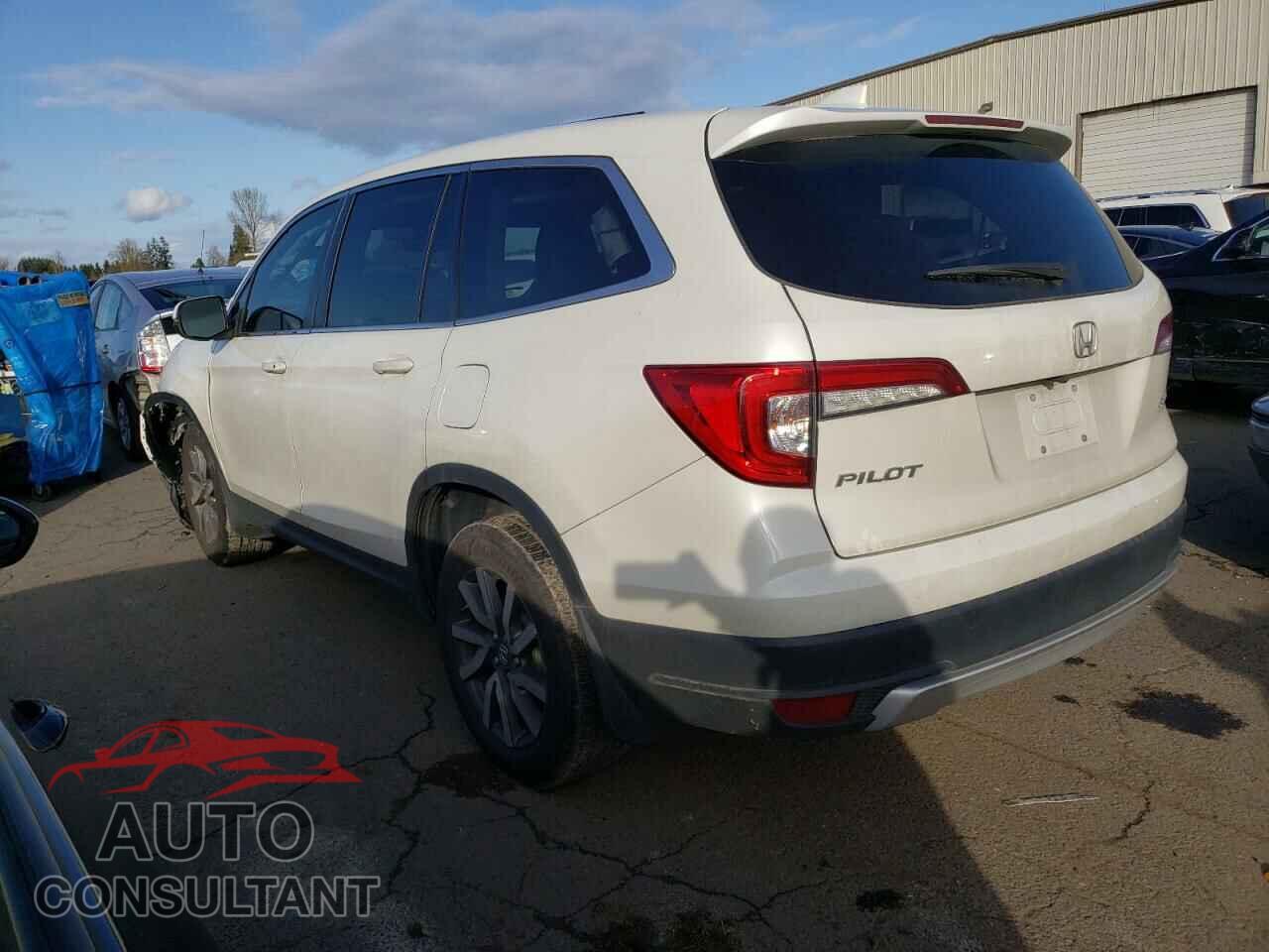 HONDA PILOT 2019 - 5FNYF6H43KB036233