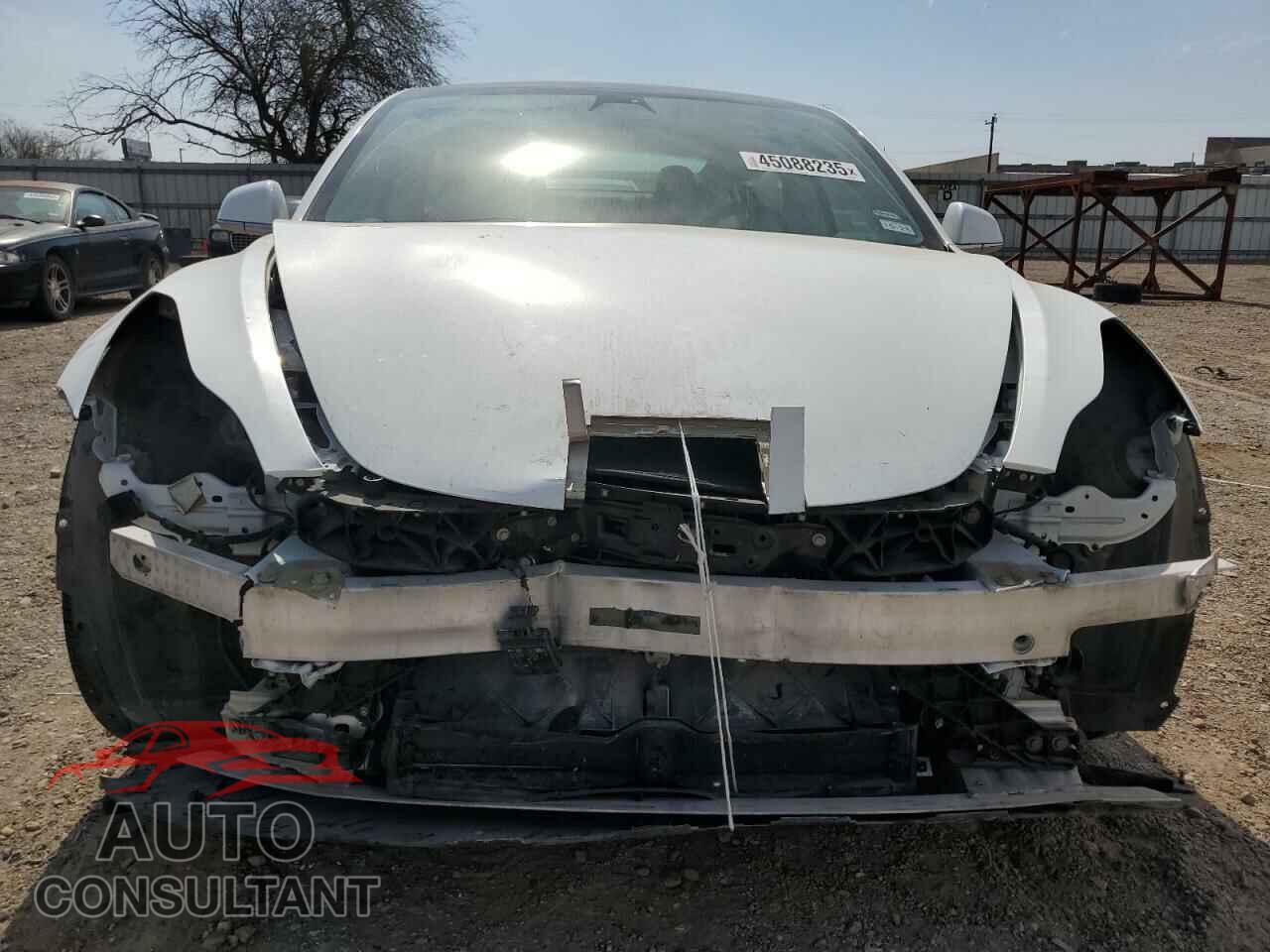 TESLA MODEL 3 2019 - 5YJ3E1EB4KF469711