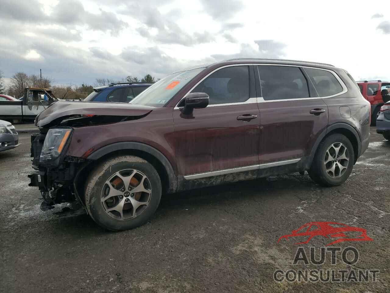KIA TELLURIDE 2020 - 5XYP3DHC2LG033947