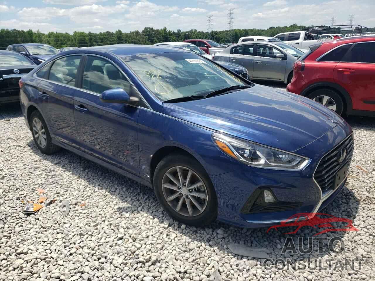 HYUNDAI SONATA 2019 - 5NPE24AF2KH802842
