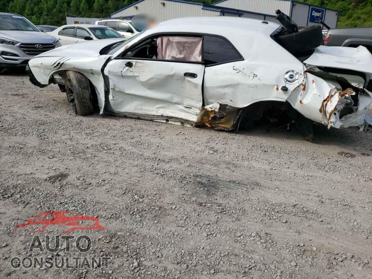 DODGE CHALLENGER 2019 - 2C3CDZAG9KH507600