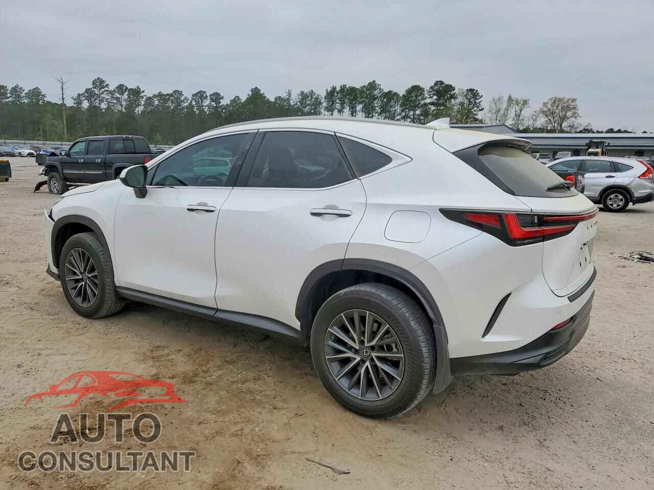 LEXUS UNKNOWN 2023 - 2T2GDCAZ9PC005596