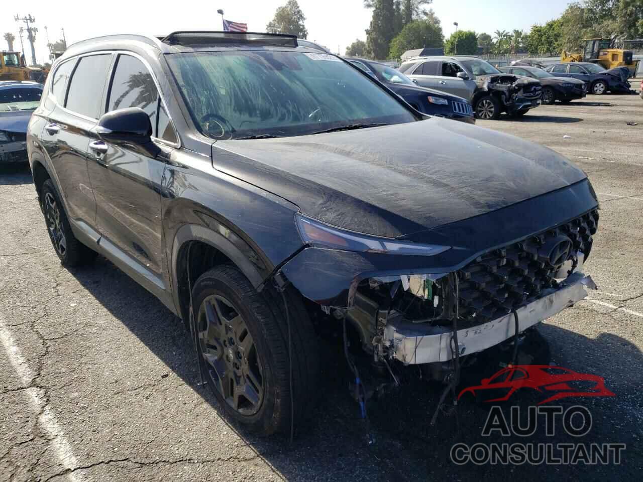 HYUNDAI SANTA FE 2022 - KM8S5DA18NU018153