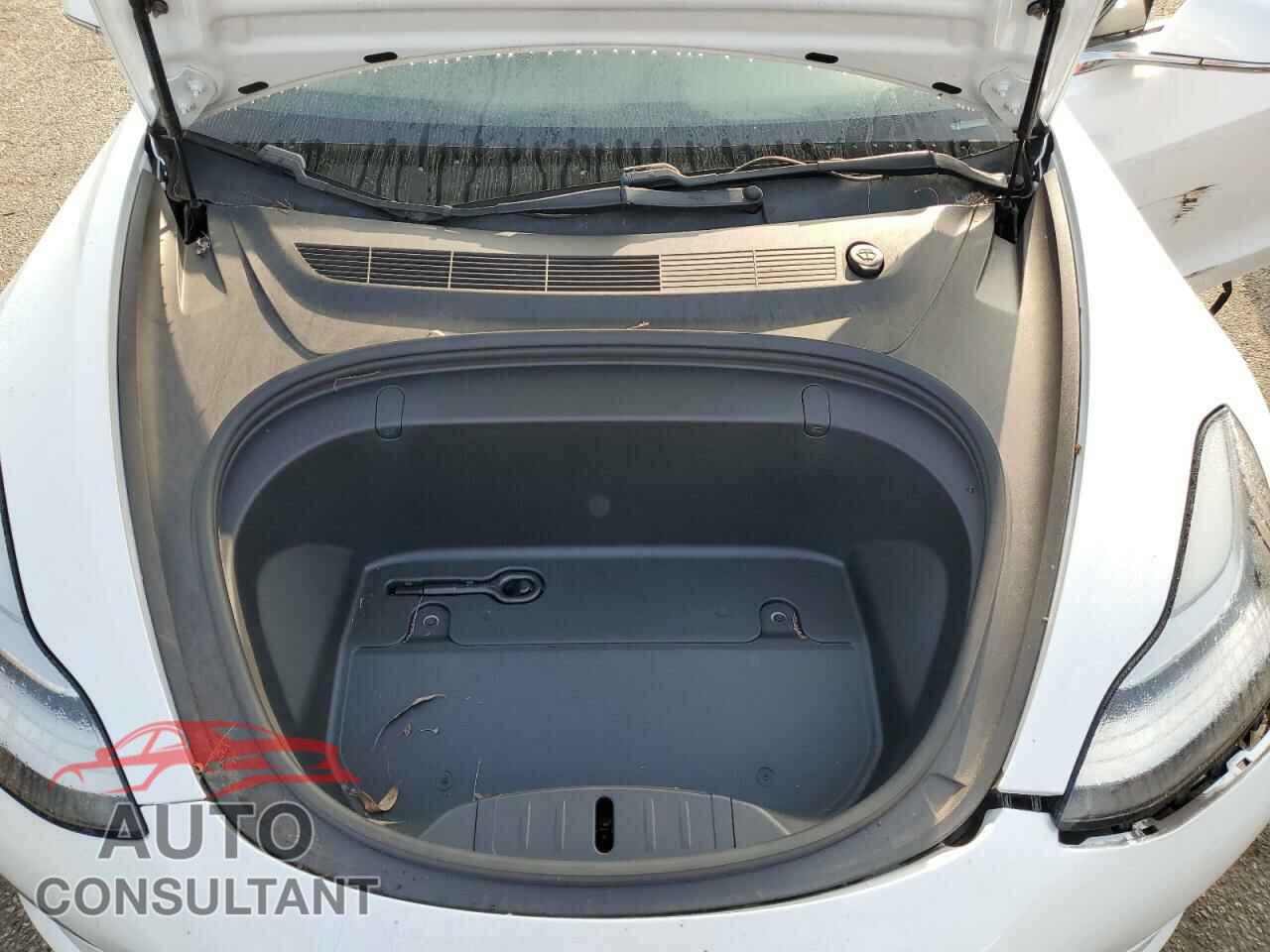 TESLA MODEL 3 2019 - 5YJ3E1EA9KF508056