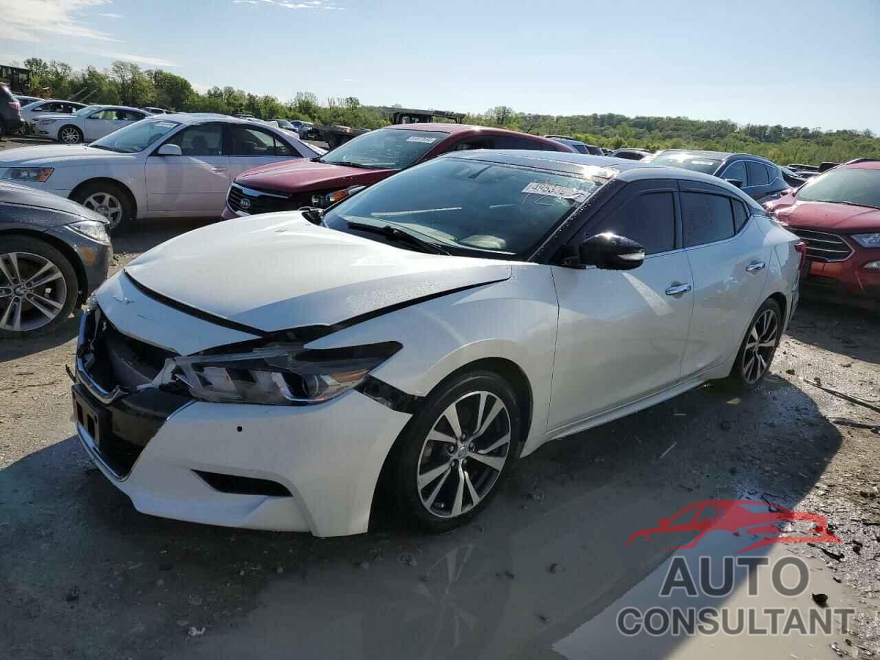 NISSAN MAXIMA 2016 - 1N4AA6AP4GC393130