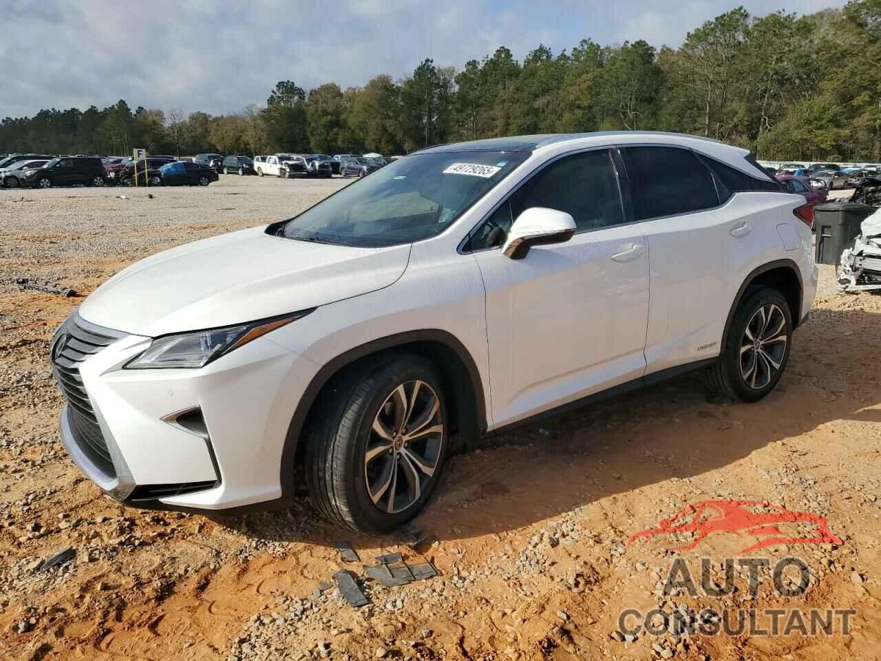 LEXUS RX450 2019 - 2T2BGMCA3KC041534