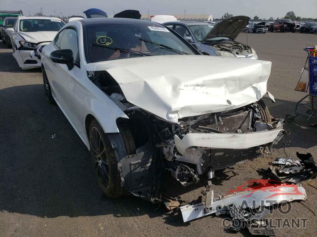 MERCEDES-BENZ C-CLASS 2019 - WDDWJ8DB0KF863744