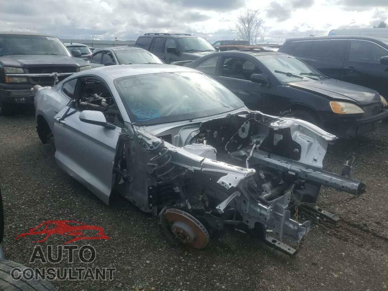 FORD MUSTANG 2019 - 1FA6P8CF2K5118714