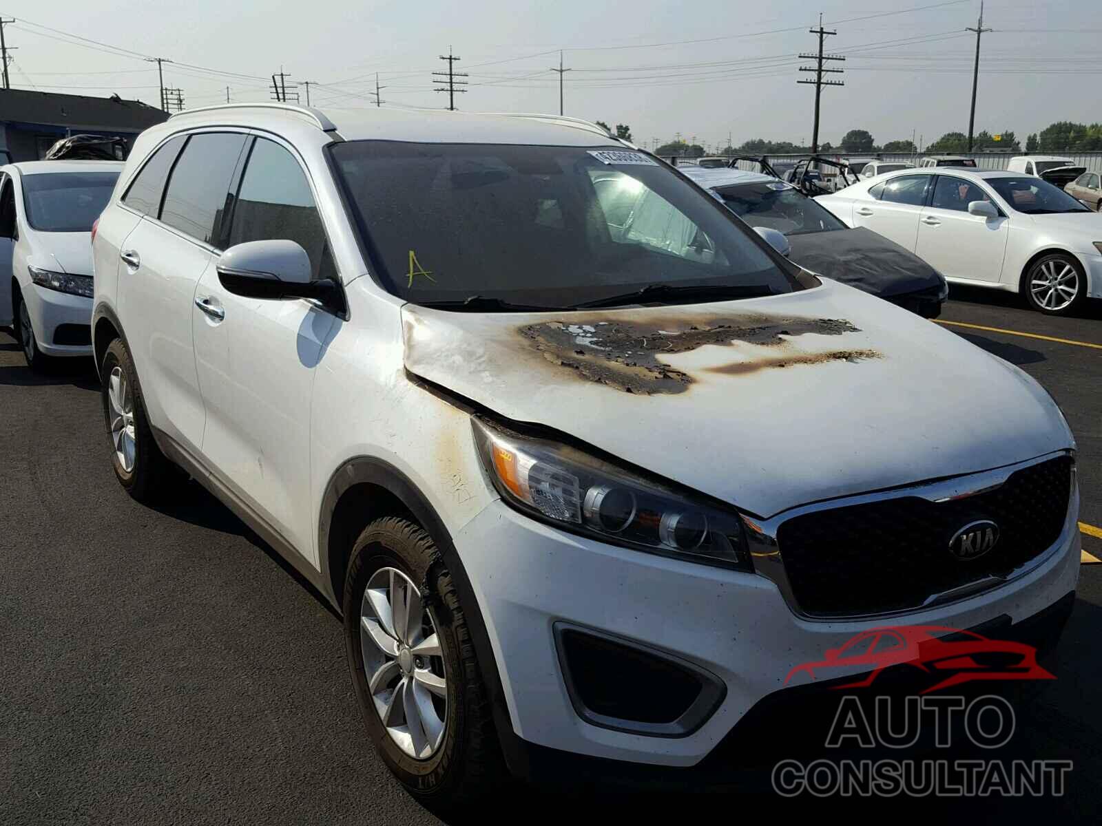 KIA SORENTO LX 2016 - 5XYPG4A31GG122395