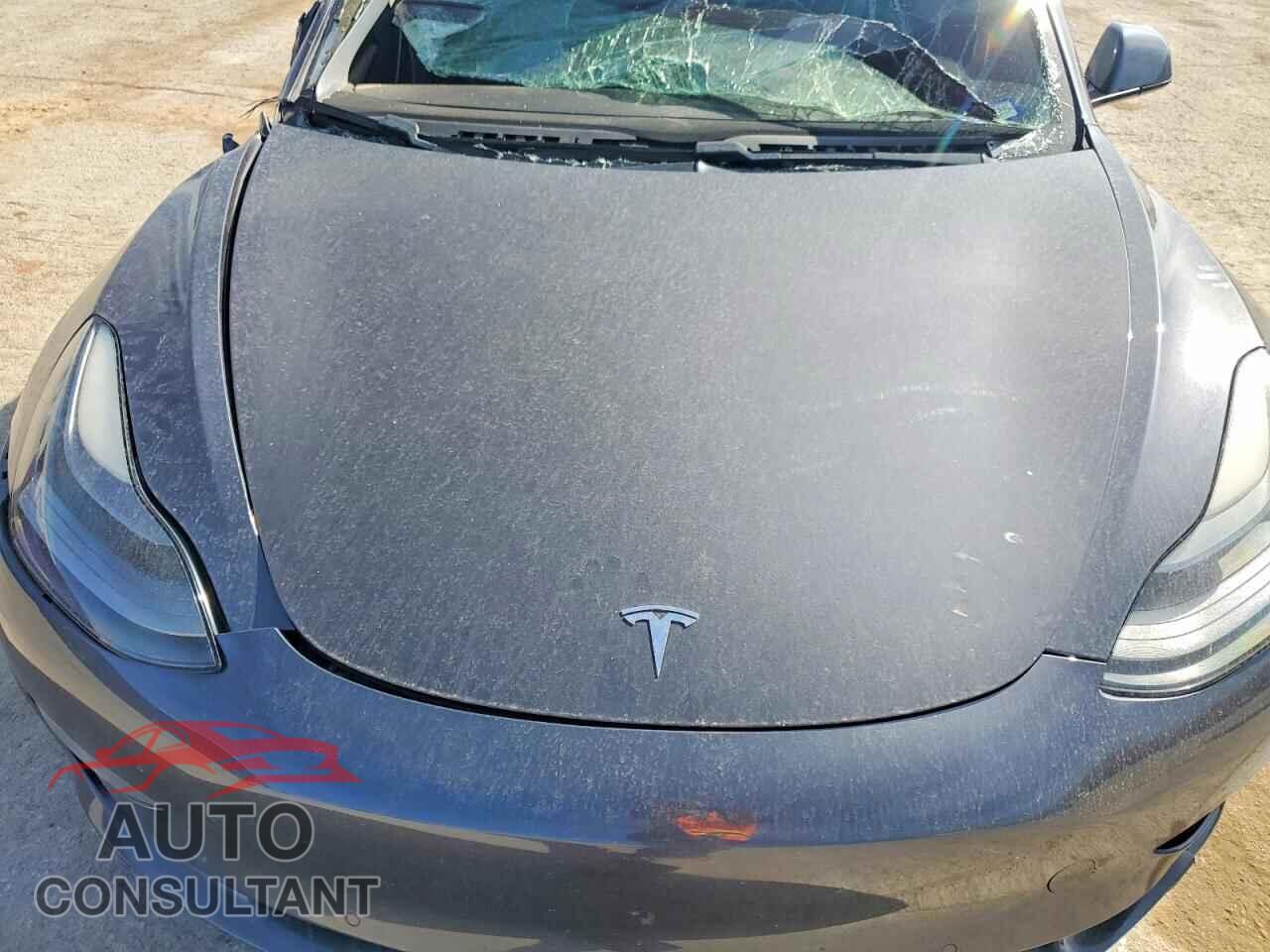 TESLA MODEL 3 2021 - 5YJ3E1EB2MF979686