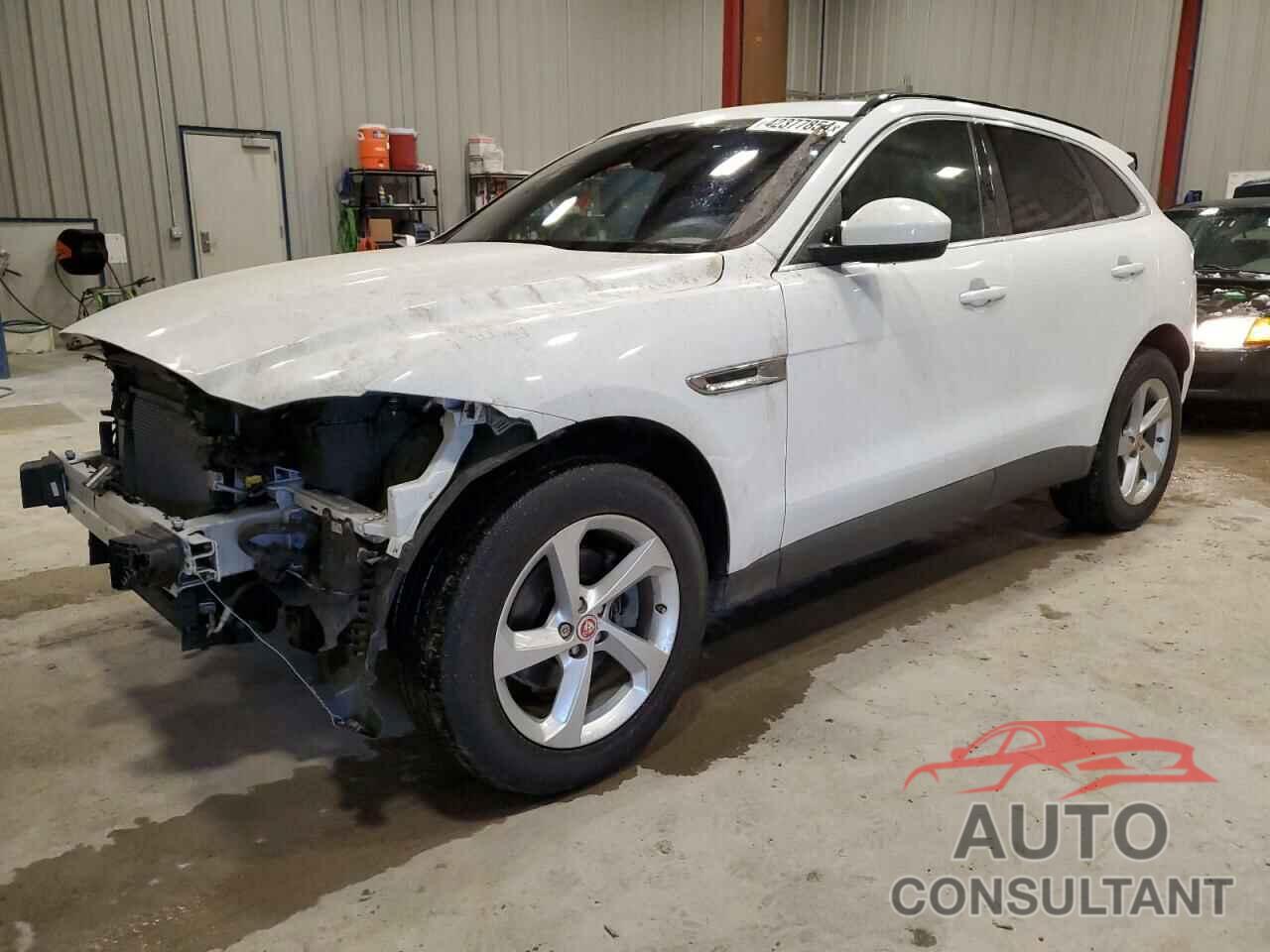 JAGUAR F-PACE 2019 - SADCJ2FN5KA600443