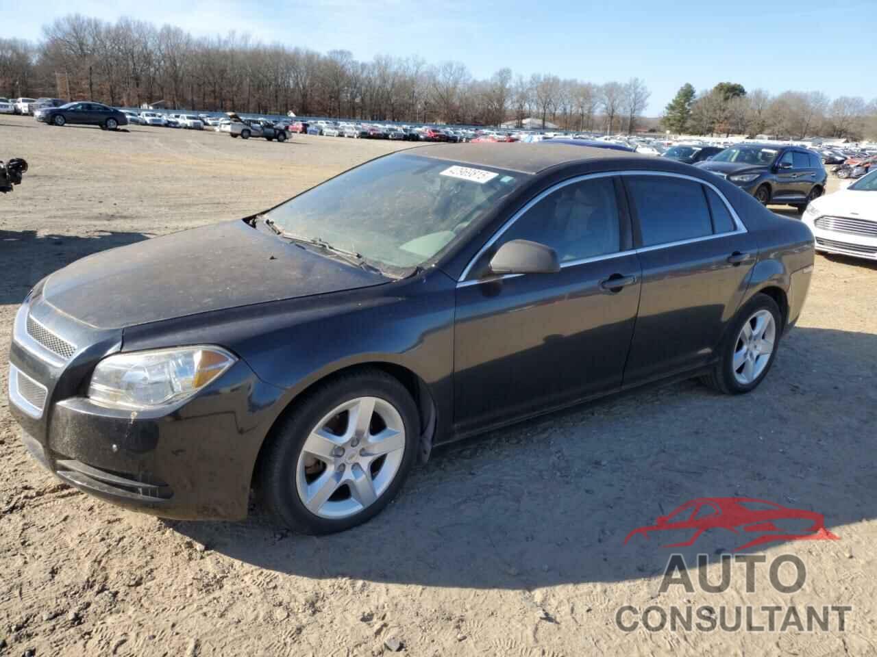 CHEVROLET MALIBU 2010 - 1G1ZB5EB3AF236948