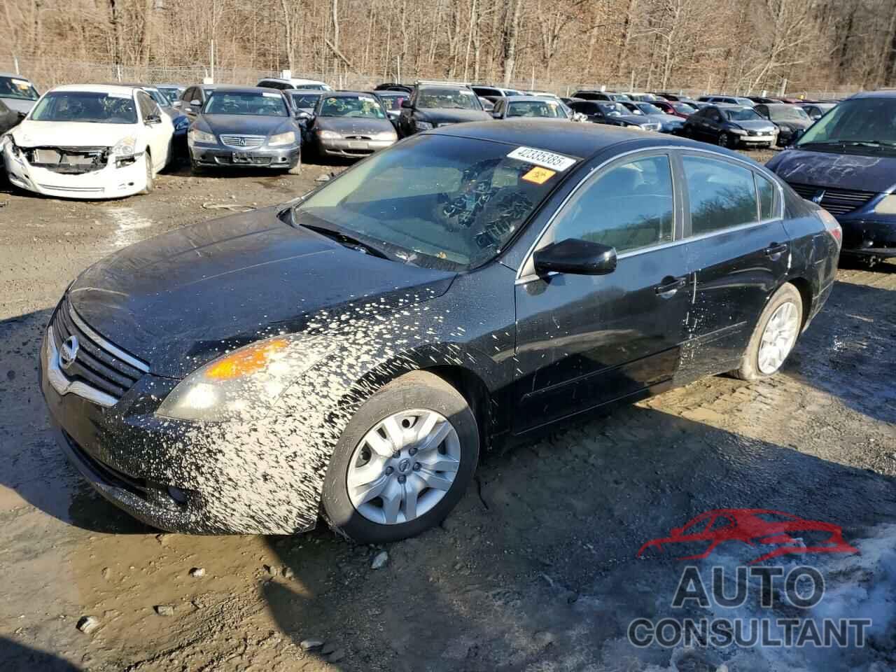 NISSAN ALTIMA 2009 - 1N4AL21E59N529046