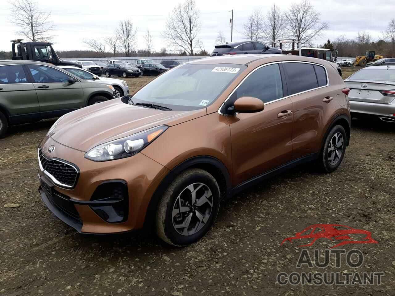 KIA SPORTAGE 2020 - KNDPM3AC6L7814632