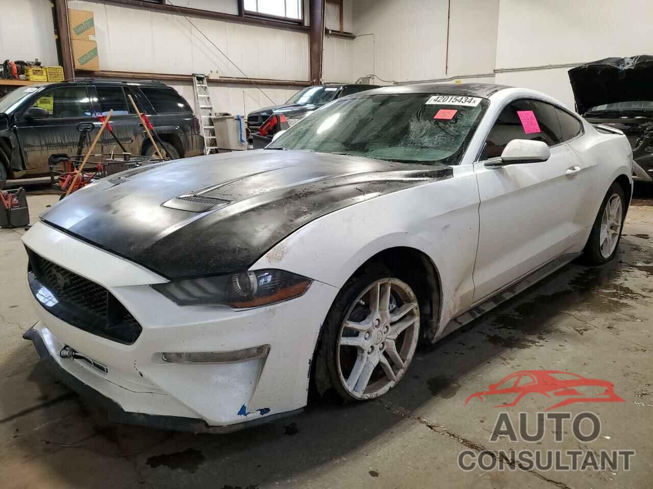 FORD MUSTANG 2019 - 1FA6P8CF6K5162795