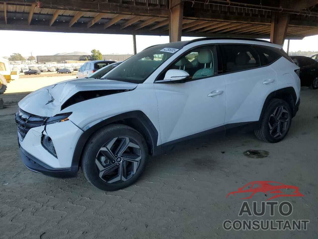 HYUNDAI TUCSON 2022 - KM8JECA15NU031979