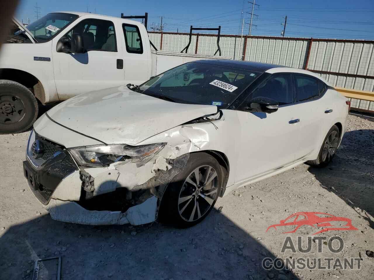 NISSAN MAXIMA 2017 - 1N4AA6AP4HC415760