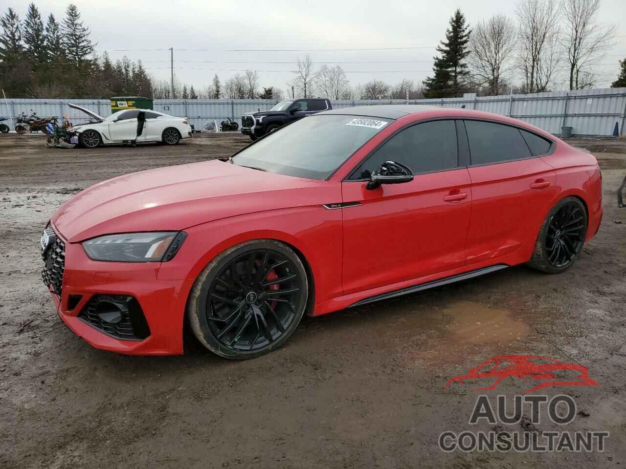 AUDI S5/RS5 2023 - WUAAWCF51PA902154