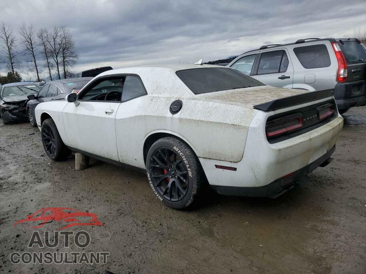 DODGE CHALLENGER 2016 - 2C3CDZC91GH288573