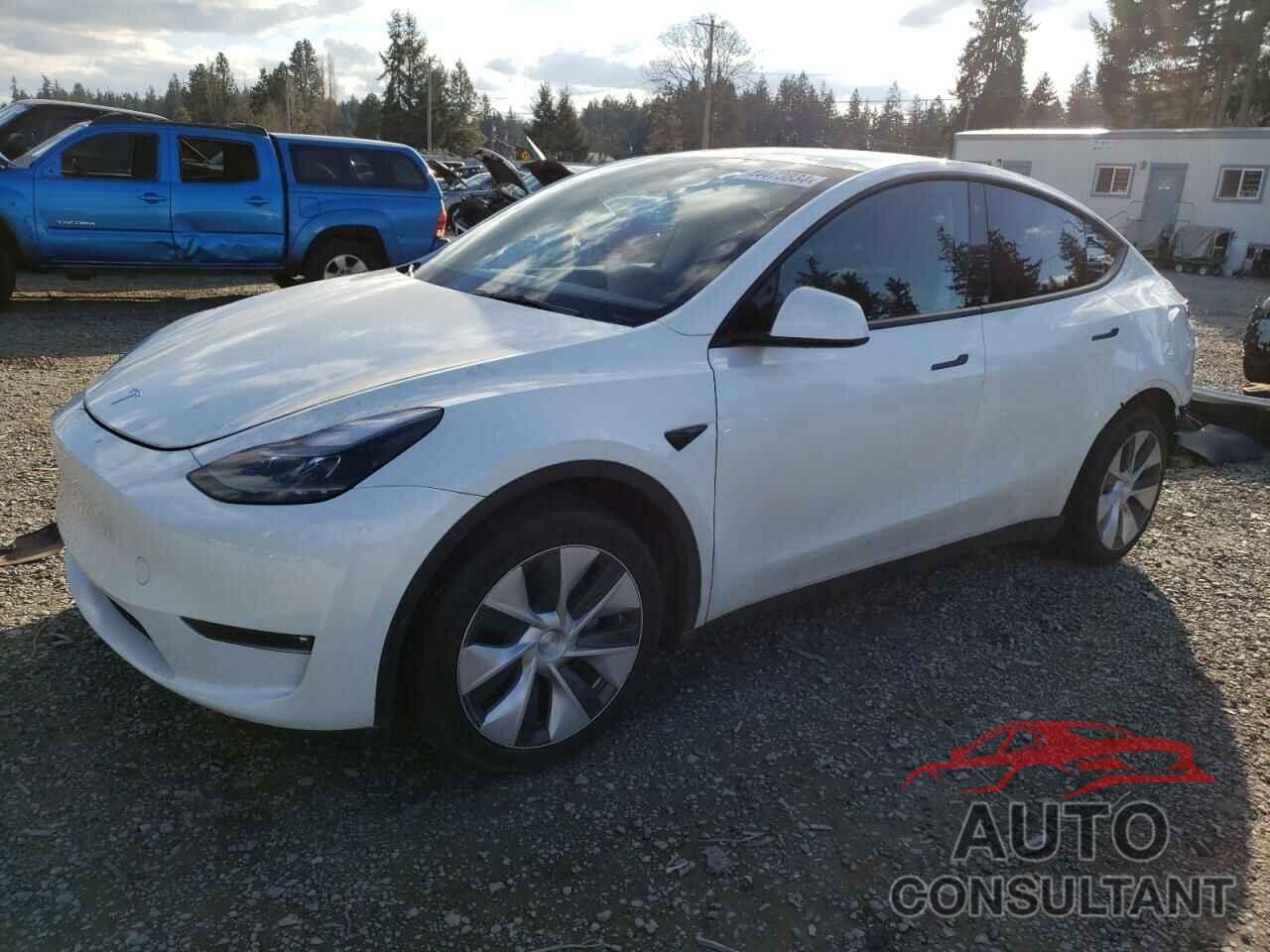 TESLA MODEL Y 2023 - 7SAYGAEE1PF778413