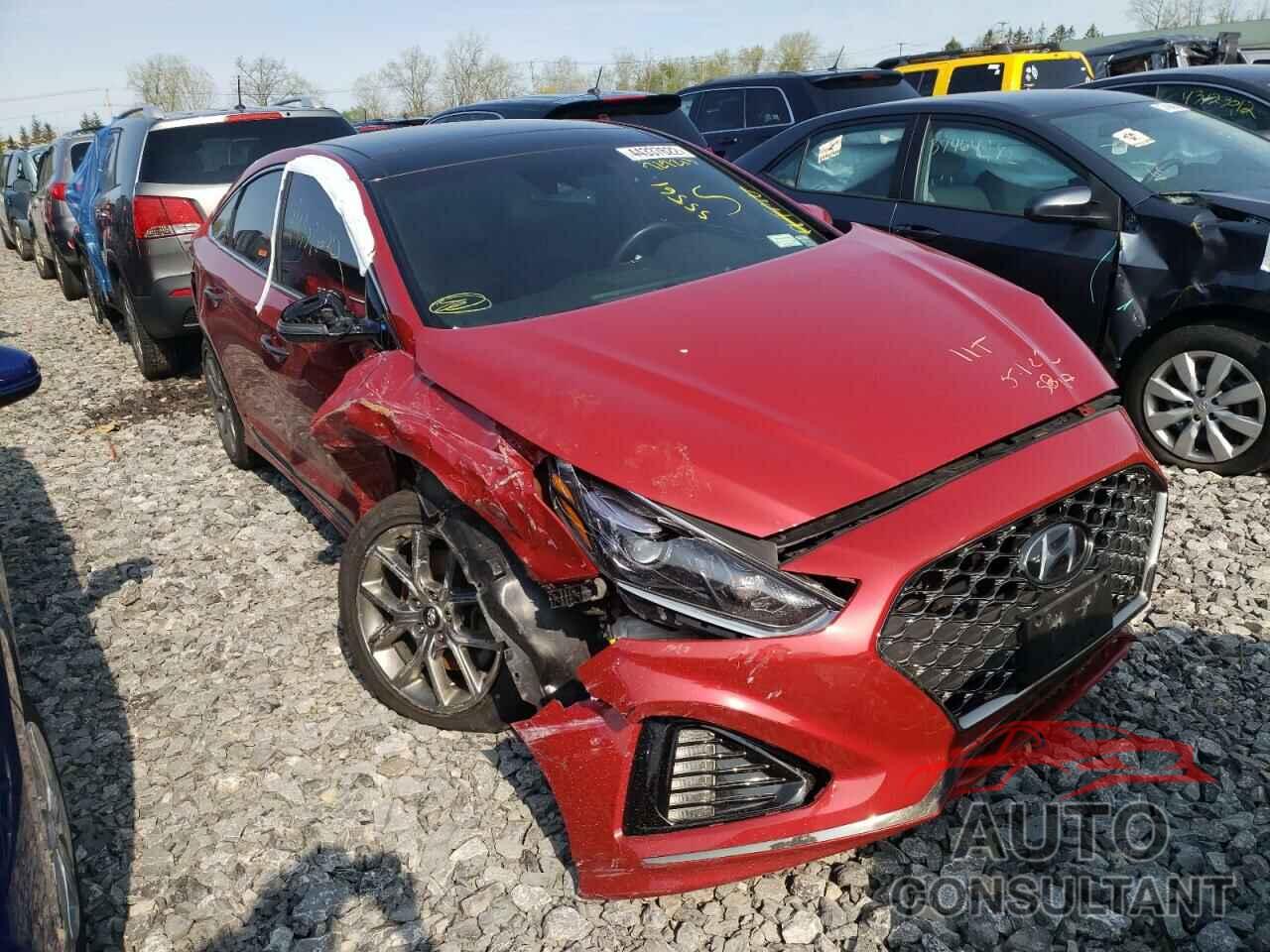 HYUNDAI SONATA 2019 - 5NPE34AB8KH729213