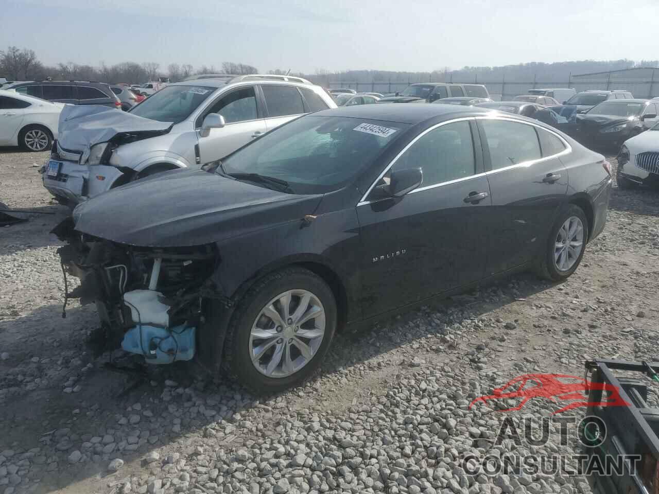 CHEVROLET MALIBU 2019 - 1G1ZD5ST7KF161440