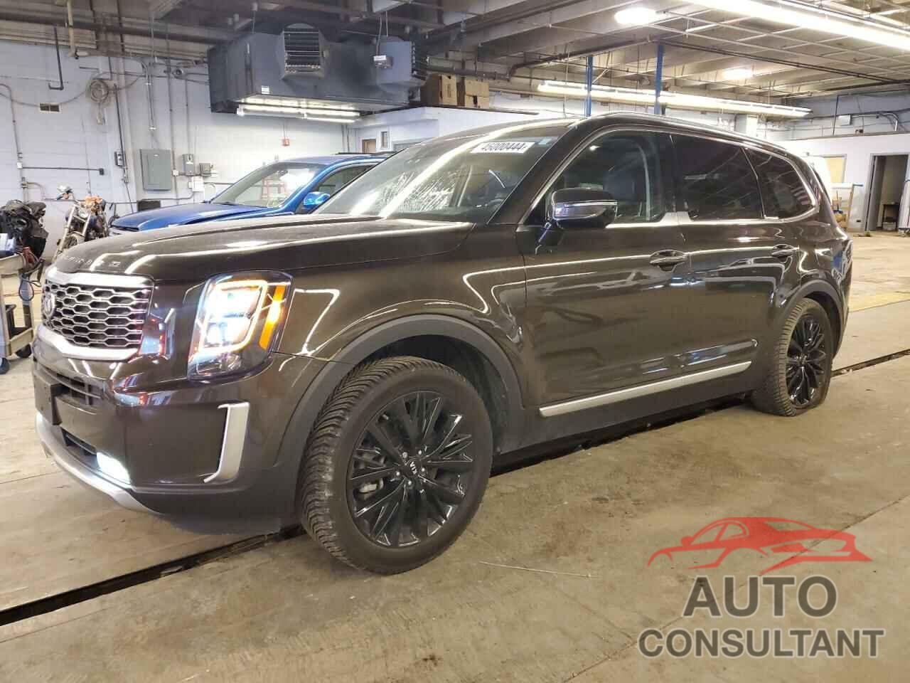 KIA TELLURIDE 2020 - 5XYP5DHC5LG004498