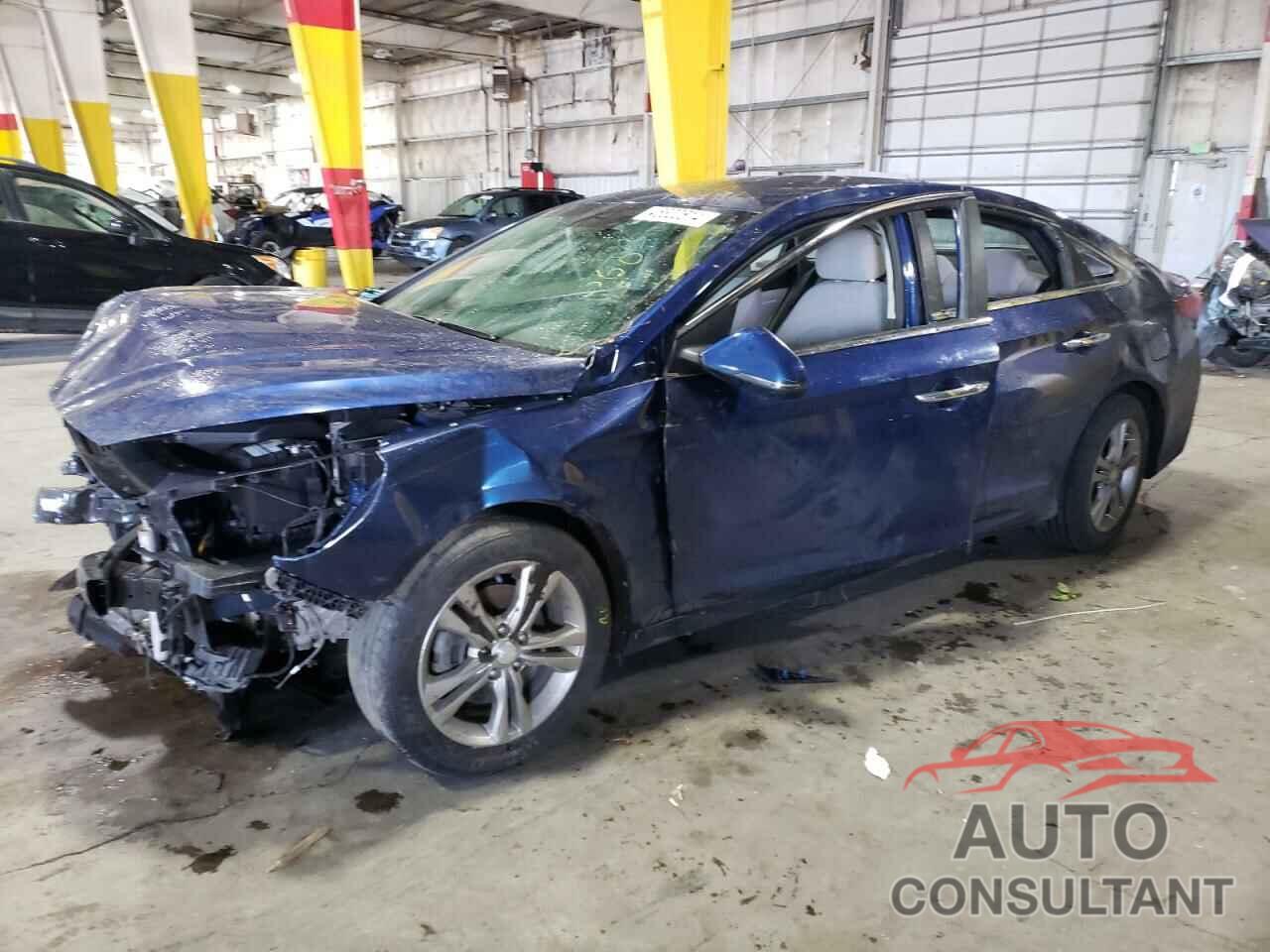 HYUNDAI SONATA 2019 - 5NPE34AF5KH783202