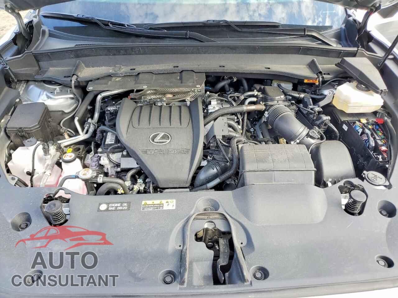 LEXUS UNKNOWN 2025 - 5TDABAB62SS013371