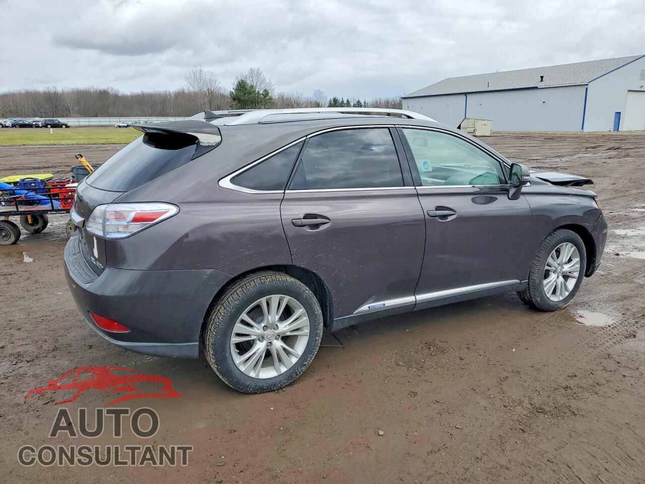 LEXUS RX450 2010 - JTJBC1BA8A2412245