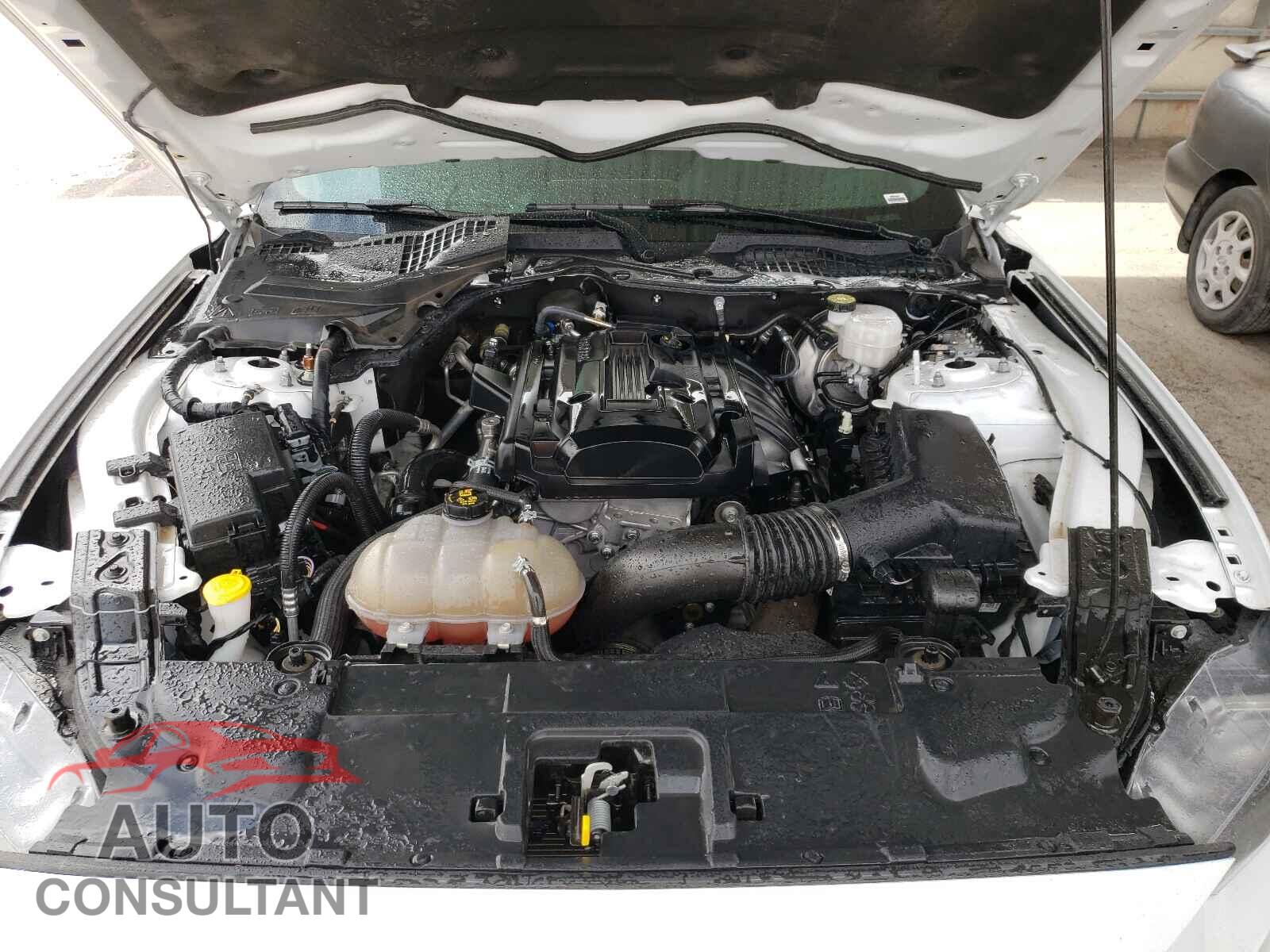 FORD MUSTANG 2019 - 1FA6P8TH2K5143050